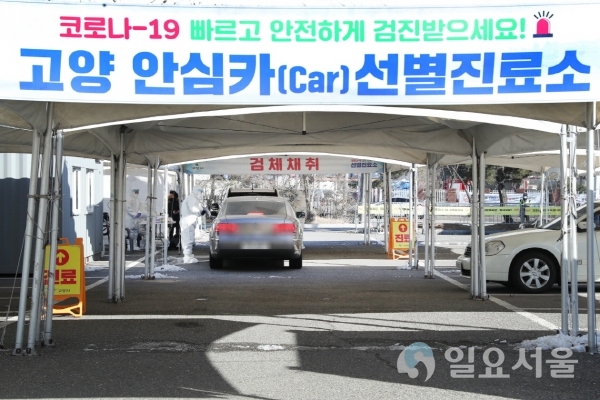 고양 안심카 선별진료소 사진