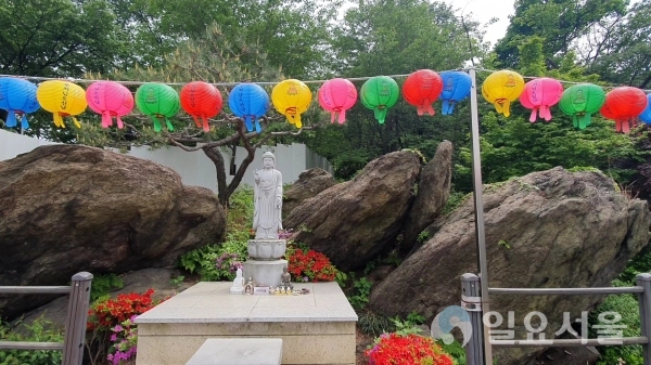 달마사 거북바위 [사진=김혜진 기자]