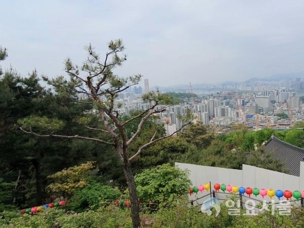 달마사에서 바라본 서울 도심 [사진=김혜진 기자]