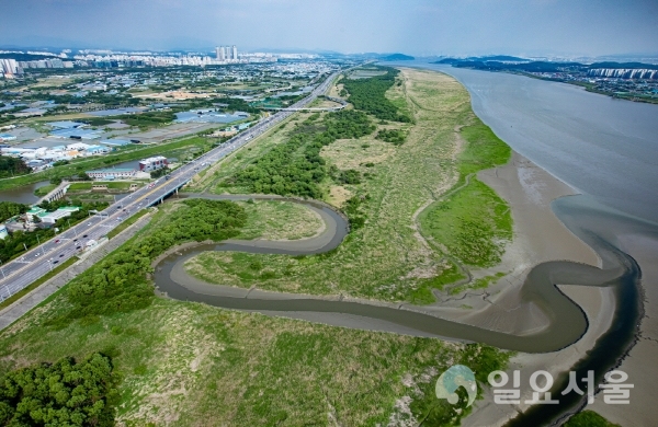 장항습지 전경