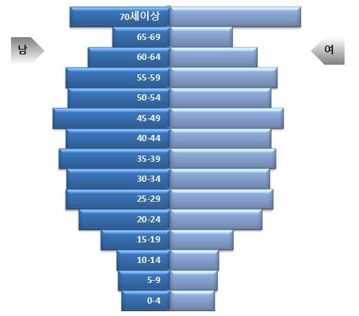 2017년 서울 인구구조 형태. (표=서울시 제공)