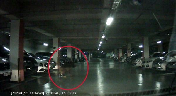 지난 23일 오전 3시 59분경 부산 사하구의 한 아파트 지하주차장에서 대형 멧돼지 한 마리가 출몰, 경찰과 소방이 합동으로 포획에 나섰지만 실패했다. [사진=부산경찰청 제공]