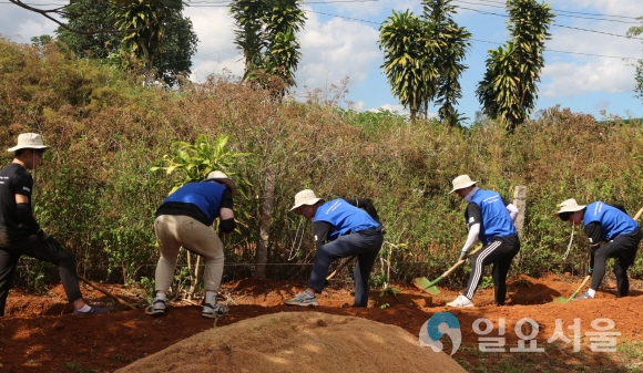 대구가톨릭대 학생들이 베트남 바오록에 있는 커피농장에서 흙을 파서 담장을 쌓는 작업을 하고 있다. 사진=대구가톨릭대