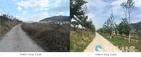 장유 후포~수가간 도로변 도시숲 조성사업 전후 사진 © 김해시 제공
