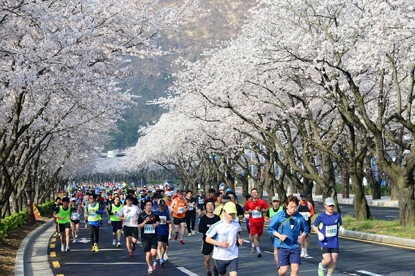 경주 벚꽃마라톤 대회.