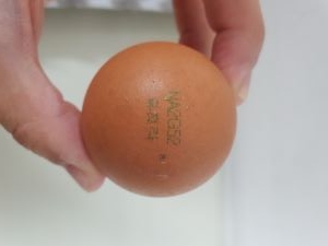 계란의 기준·규격 신설 및 표시 내용 변경