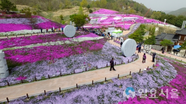 산청 생초 국제조각공원 꽃잔디축제 전경 @ 산청군 제공