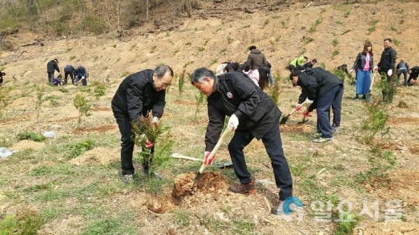 25일 최옥환 마산회원구청장이 ‘제74회 식목일’을 맞아 국립 3.15 민주묘지 에서 직원들과 함께 편백나무를 심고 있다. © 창원시 제공