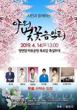 영천시 벚꽃음악회 포스터.