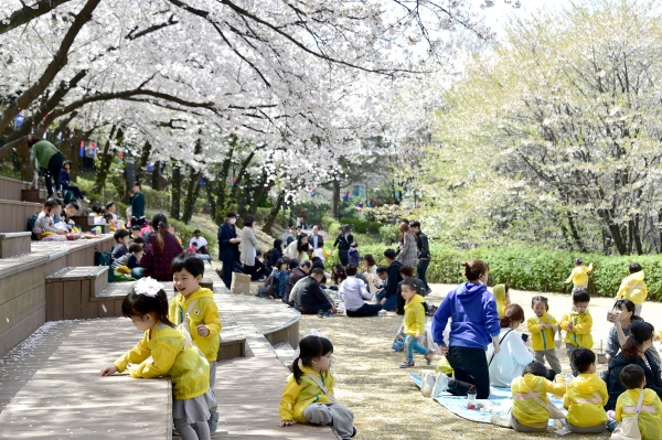 12일 오후 서울 서대문구 안산 연희숲속쉼터 벚꽃마당을 찾은 어린이들이 벚꽃을 보며 즐거운 시간을 보내고 있다. 2018.04.12. (사진=서대문구 제공)