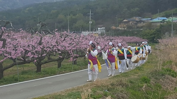 영천시가 지난 14일 ‘제11회 영천복사꽃 전국 사진촬영대회’를 영천시 대창면 일원에서 개최했다.