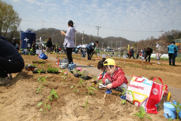 4월 13일 개장한 ‘금천구 친환경주말농장’에서 아이들이 텃밭에 고추모종을 심고 있다