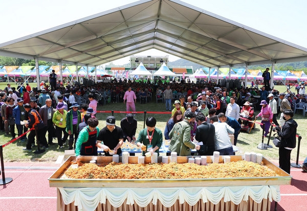 제15회 영양산나물축제가 5월 2일부터 5일까지 4일간 영양군청, 영양읍 복개천 및 영양전통시장 일원에서 개최된다.