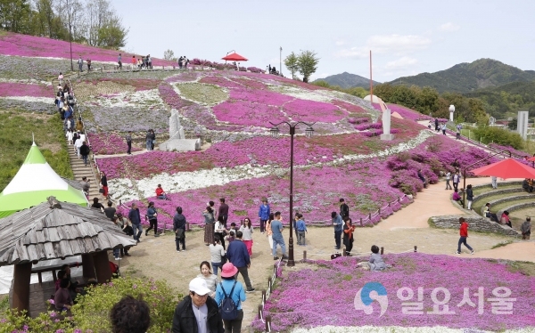 제3회 산청 생초국제조각공원 꽃잔디 축제 찾은 관람객들     © 산청군 제공