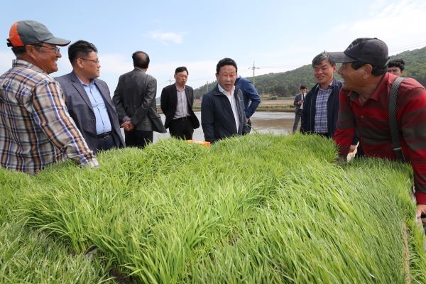 장정민 옹진군수, 모내기 영농현장 7곳을 방문, 농민들과 환담을 나누고 있다
