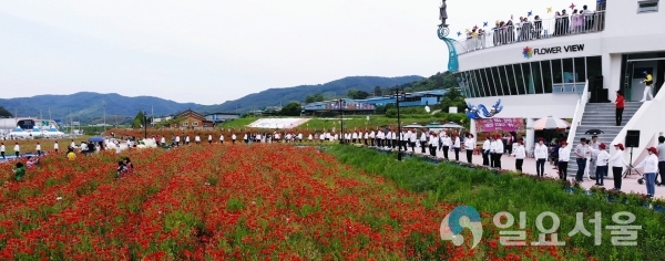 꽃양귀비 축제(라인댄스)     © 하동군 제공