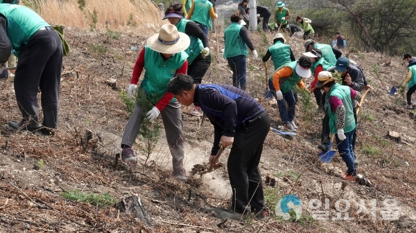 김해시가 도심 온도를 2도 낮추기 위해 2021년까지 100만 그루나무심기를 진행 중인 가운데 사진은 지난 식목일 행사에서 시민들이 나무를 심고 있다.     © 김해시 제공