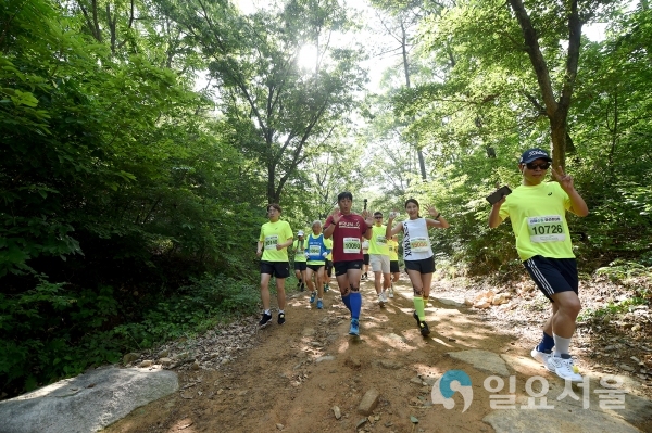 김해숲길마라톤 성황     © 김해시 제공