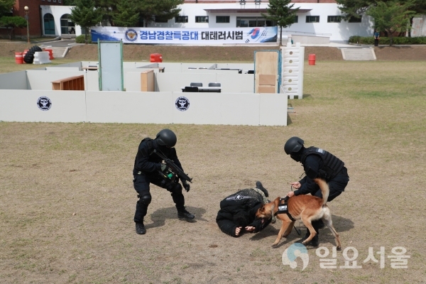 경남경찰특공대 대테러시범     © 의령군 제공