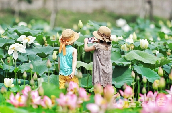 대상은 두 명의 아이가 연꽃사진을 찍는 장면을 표현한 ‘어린작가들’이라는 제목의 안창림 씨 작품이 선정됐다.     © 함안군 제공