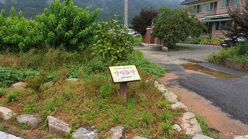 성북동 칠전마을 입구 양심화단
