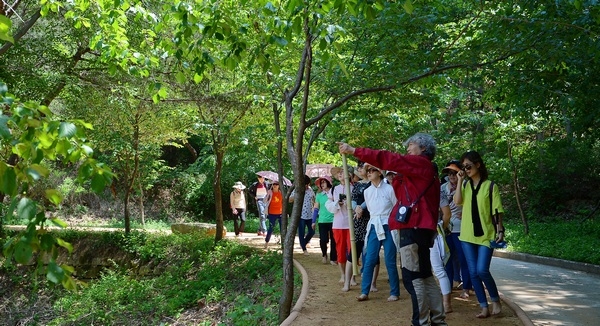 성주봉자연휴양림황토길걷기.