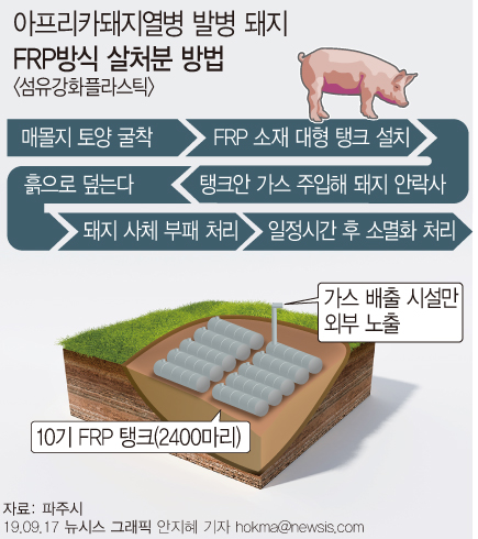 돼지열병 살처분 방법은 FRP 방식 [뉴시스]
