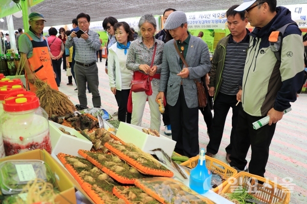 제18회 산청한방약초축제 약초판매장터 둘러보는 관람객들  © 산청군 제공