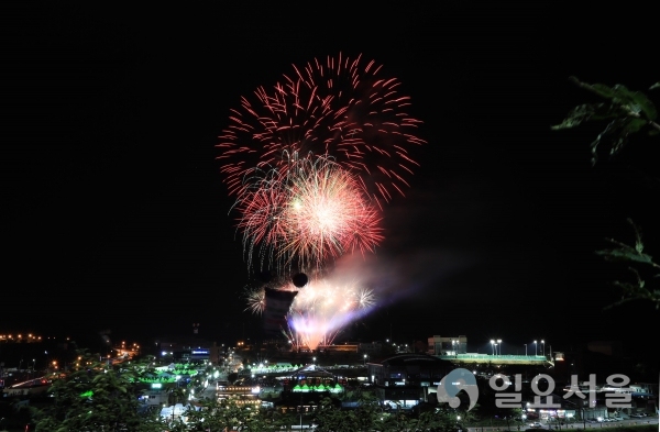 제18회 산청한방약초축제 개막식 축하 불꽃놀이  © 산청군 제공