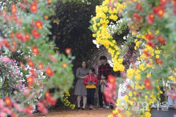 오는 25일부터 내달 11월 10일까지 17일간에 걸쳐 「국화향기 가득한 가을 속으로」라는 주제로 거창사건추모공원 일원에서 국화전시회를 개최한다.  © 거창군 제공