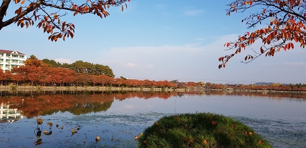 영천 우로지 생태공원.