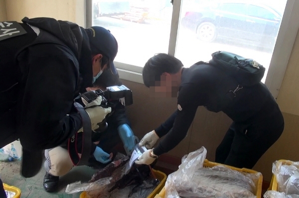 불법 포획된 고래고기 샘플을 채취하는 울산지방경찰청 관계자들. [사진=울산지방경찰청 제공]