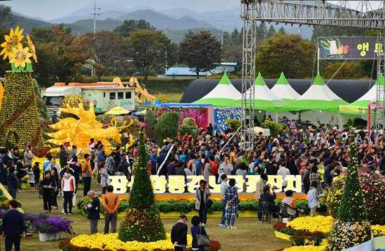 장성군의 인구정책이 주목받고있다.. 사지은 작년 황룡강 노란꽃잔치의 현장이다.