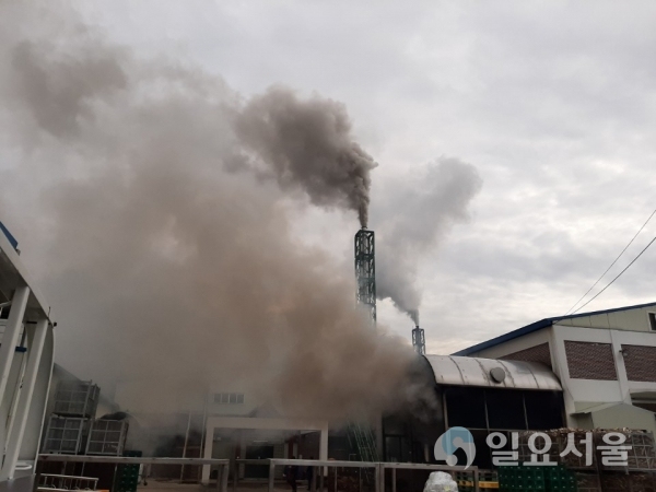 인산가 수동 죽염 제조공장에서 과잉생산으로 인해 뿜어져 나오는 연기가 대형 화재현장을 연상케 하고 있다.(사진제공=제보자)