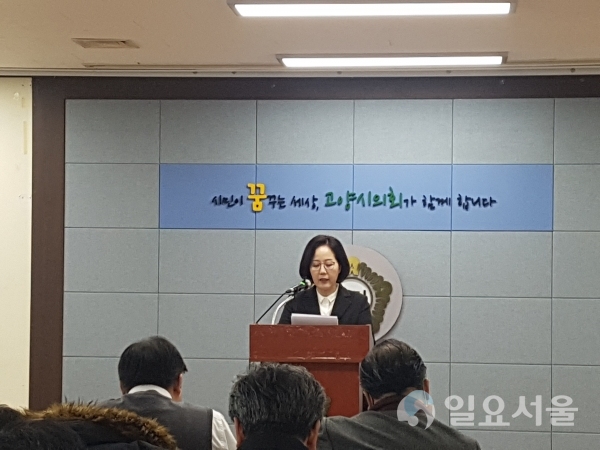 김현아 국회의원 출마기자회견