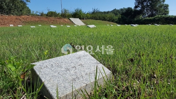 지난해 9월 경기도 파주시 적성면 답곡리 일대의 북한군 묘지. [조주형 기자]