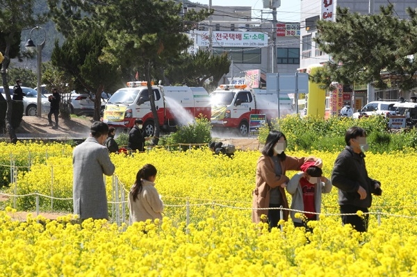 호미곶해맞이광장 일대의 유채꽃밭을 방역하고 있는 모습.