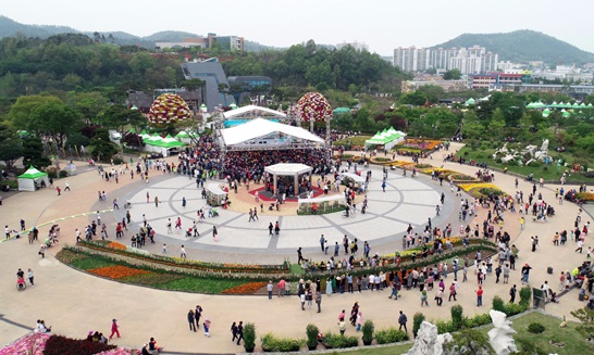2019년에 개최된 제21회 함평나비축제의 모습