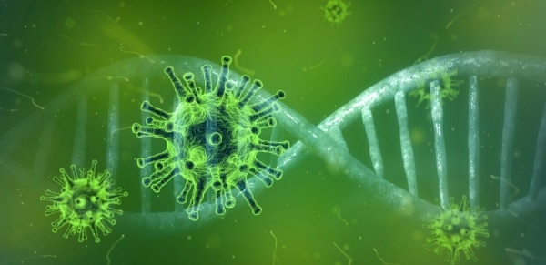 엔비디아가 코로나19 극복을 위해 유전자 배열 데이터 분석을 50배까지 가속화할 수 있는 게놈 배열 소프트웨어 제공에 나섰다. [엔비디아]