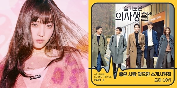 레드벨벳 조이 '슬기로운 의사생활' OST 참여 [SM엔터테인먼트/tvN 제공]