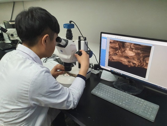 나무병원의 현미경 관찰을 통한 수목피해 진단이 가능하다.
