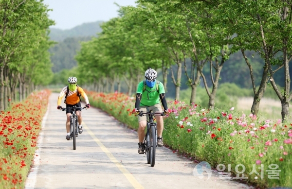 4일 오후, 의령군 화정면 상일제 남강 자전거도로 2,5km 둑방길에 오랜만에 달리는 자전거라이더들이 힘차게 페달을 밟으며 싱그러운 자연을 만끽하고 있다.