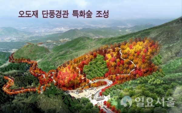 오도재 단풍경관 특화숲 조성 계획 조감도 @ 함양군 제공