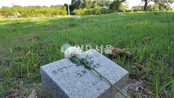 경기도 파주시 적성면 답곡리에 위치한 북한군 묘지. 누군가 꽃을 갖다놨다. 2020.06.02.[조주형 기자]