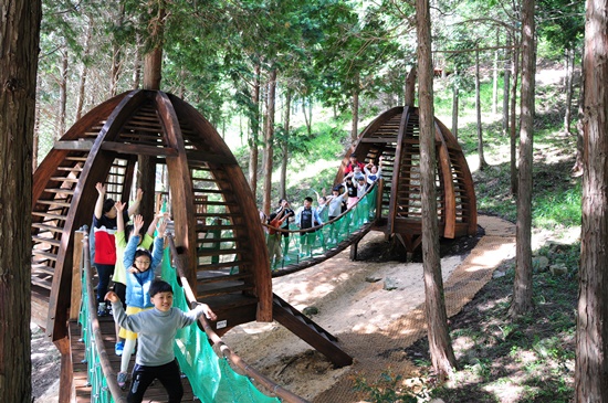 진도군, 편백숲 운림산림욕장 개장