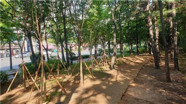 미추홀구, 금호아파트 앞 녹지대 산책로 조성(용현동 627-74번지 일원)