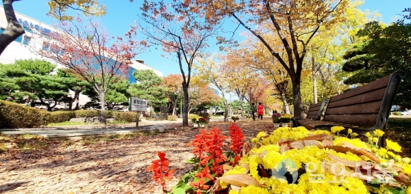 매년 가을 성산아트홀 앞길에서 열리는 단풍거리축전