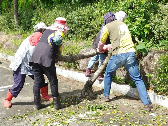 광양시 광양읍이 태풍 마이삭 피해상황 점검 및 복구에 나섰다.
