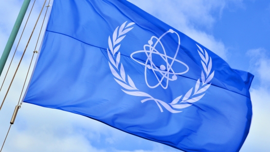 국제원자력기구(IAEA) [뉴시스]