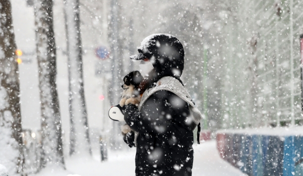 눈이 내린 12일 오후 경기 고양시 일산서구 한 거리에서 한 시민이 발걸음을 옮기고 있다. 2021.01.12. [뉴시스]